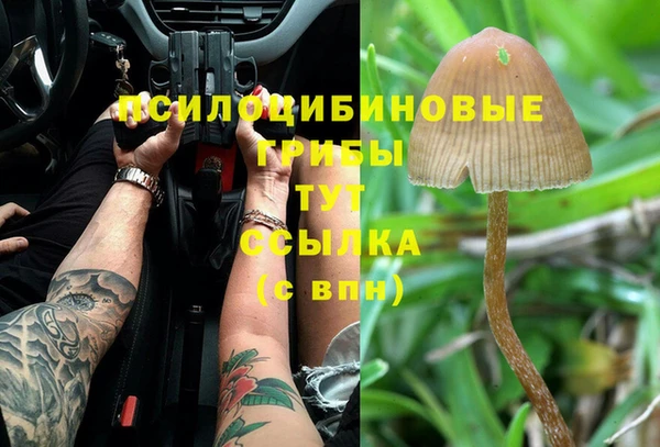 гидропоника Пестово