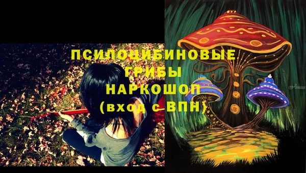 гидропоника Пестово
