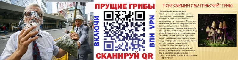 МЕГА сайт  Дмитровск  Галлюциногенные грибы GOLDEN TEACHER 